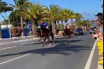  Telde disfruta con los pura sangre/TA.